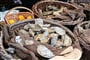 Poznávací zájezd Francie - čerstvé mušle na trhu v Cancale