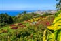 Botanická zahrada - Funchal - Madeira