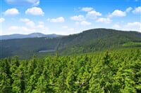 Šumava – Volary: Jezera, Horské Výhledy A Renesance