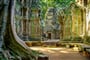 Kambodža - Angkor - chrám Ta Prohm
