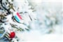 shutterstock_1459956908