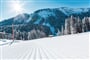 shutterstock_1197724126