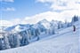 shutterstock_61832446