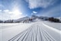 shutterstock_1305050308