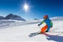 shutterstock_562441120 (1)