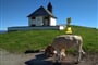 Foto - Kitzbühel a okolí - Kitzbühelské pohlazení