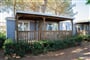 lodge-comfort-dog-esterno (1)