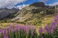Andorra, Španělsko - Národní Parky Pyrenejí