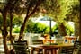 olivegarden-terrace