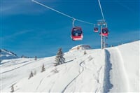 Brixental - Brixental a Wildschönau - lyžařský zájezd bez nočního přejezdu