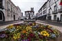 Foto - To nejlepší z ostrovů Sao Miguel a Terceira + TURISTIKA + AZORSKÁ GASTRONOMIE (l