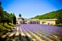 Foto - To nejkrásnější z Provence + MARSEILLE + OPATSTVÍ SÉNANQUE (letecky z Prahy)