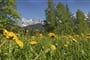 Foto - Schladming - Dachstein - Dachsteinská bomba pro seniory