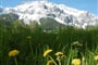Foto - Schladming - Dachstein - Dachsteinská bomba pro seniory