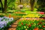 Foto - To nejlepší z Amsterdamu + KVĚTINOVÁ ZAHRADA KEUKENHOF