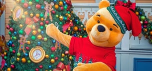 Vánoční Disneyland, Disney hotel 3* a Paříž (ZÁJ)
