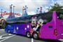 Disney Ván 11