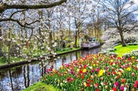 To nejlepší z Amsterdamu + KVĚTINOVÁ ZAHRADA KEUKENHOF
