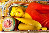 Srí Lanka - Srí Lanka - velký okruh s pobytem u moře s All inclusive *****