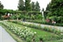 Mainau 010