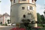 Mainau 03