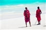Foto - To nejlepší ze Zanzibaru + SAFARI V TANZANII + KOUPÁNÍ V INDICKÉM OCEÁNU