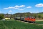 Reblaus Express