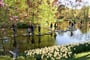 Foto - Velikonoční Amsterdam + KVĚTINOVÁ ZAHRADA KEUKENHOF + SLAVNÁ MUZEA