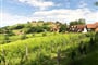 Lendava 6   vinice
