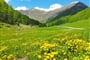 Foto - Gitschberg-Jochtal - Jižní Tyrolsko - alpský ráj s italskou duší