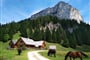 Foto - Národní park Kalkalpen - Národní park Kalkalpen - vápencový svět hor
