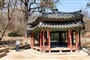 IMG 20260312 120832071 HDR