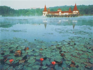 Foto - Pr�zdniny u Balatonu
