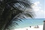 Foto - Koh Samui - Aloha Resort ***+