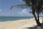 Foto - Koh Samui - Aloha Resort ***+