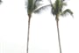 Foto - Koh Samui - Weekender Resort and Spa ***+