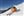 saalbach_hinterglemm0007