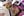 saalbach_hinterglemm0073