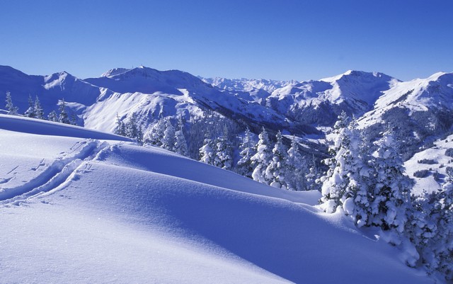 saalbach_hinterglemm0084
