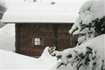 Foto - Livigno - Hotel Park Chalet Village
