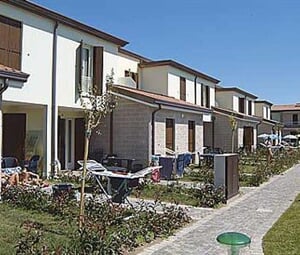 ai - faggi6
