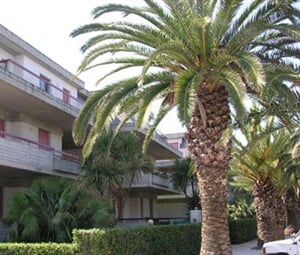 Tuttomare