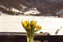 Foto - Zermatt - Hotel Elite ***