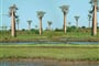 Objevování Madagaskaru - 17 dní