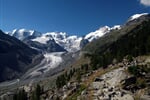 BERNINA_