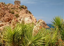 Korsika