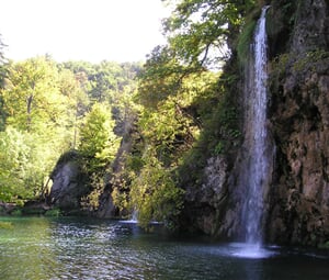 P1010058