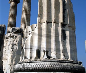 PA060927