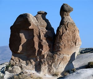 P8308271