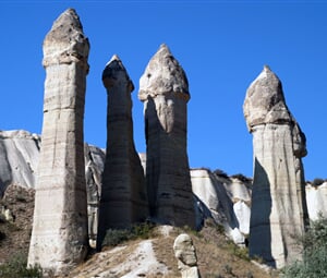 P8308356